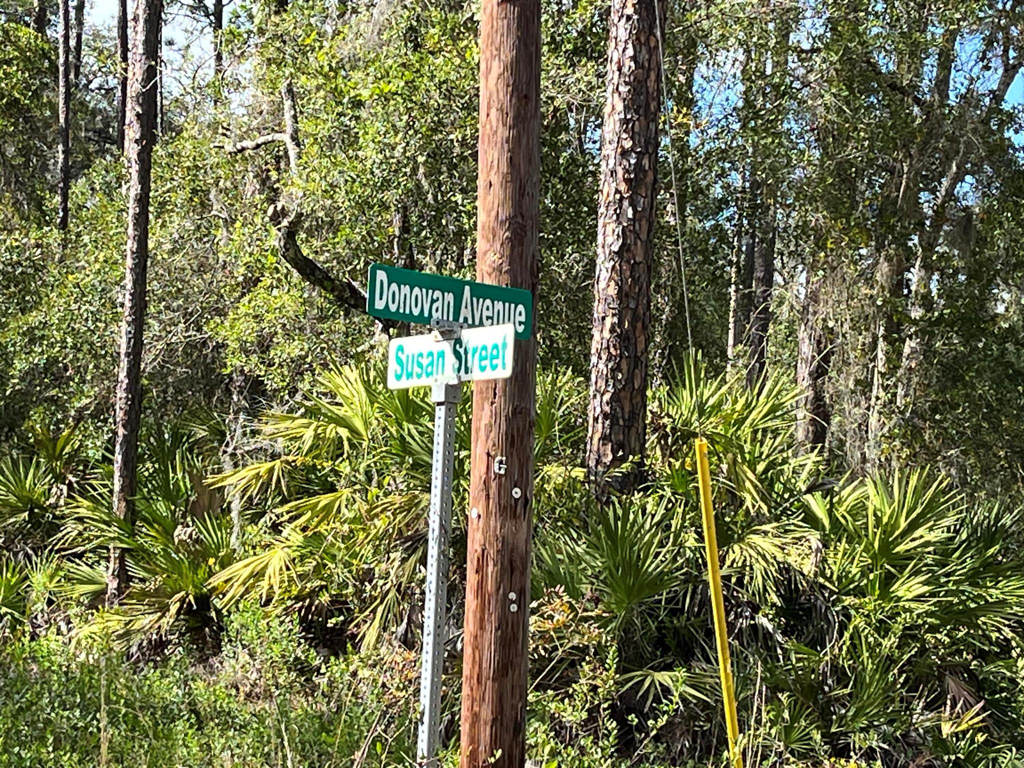 0 Susan Street