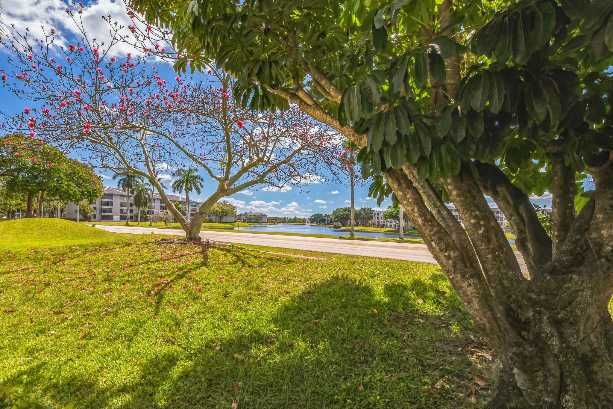 9440 Tangerine Place 102