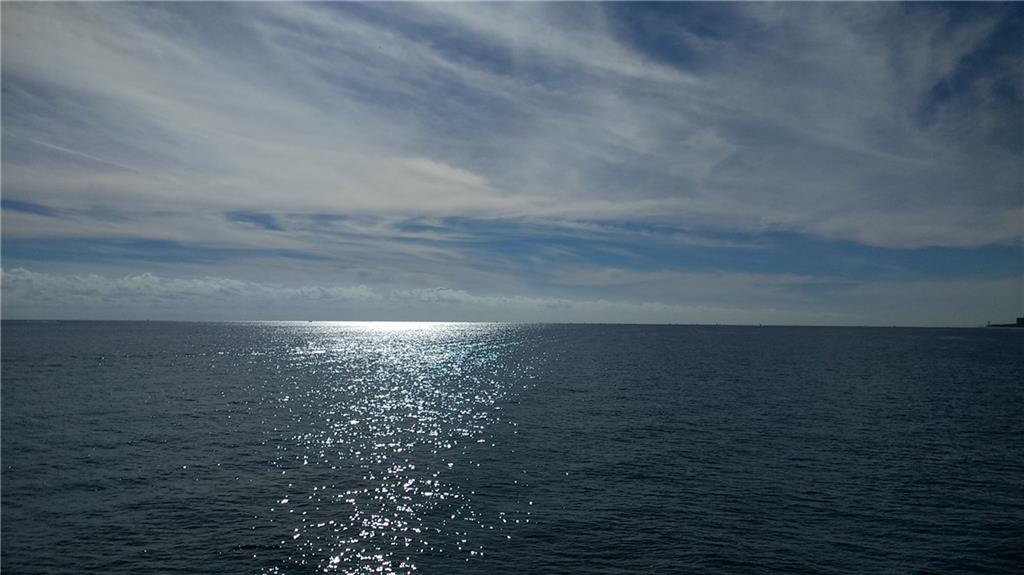 GOLDEN RAINTREE - Residential