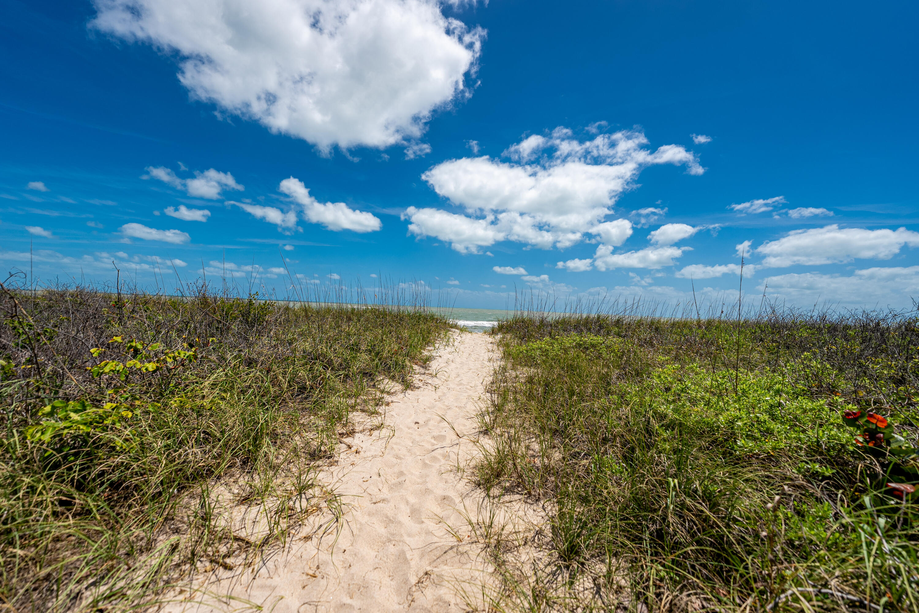 THE ATRIUM ON THE OCEAN, A CONDOMINIUM - Residential