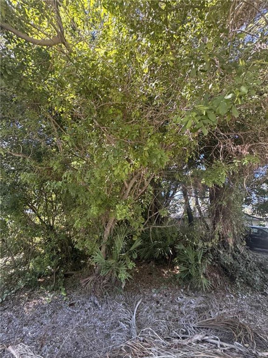 Great location to build a new home close to the Intergenerational building, Osceola Magnet School, Publix shopping and South County Regional Park.  New home comparable sold listings are in the low $300's