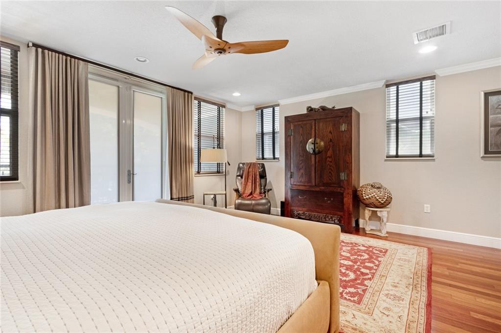 Canary Palm - Residential