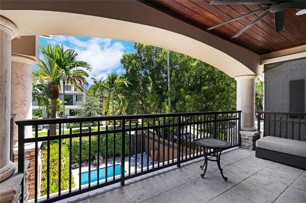 Canary Palm - Residential