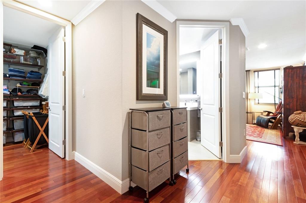 Canary Palm - Residential