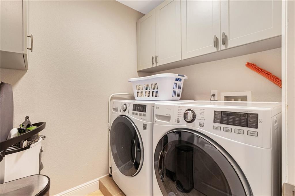 Canary Palm - Residential