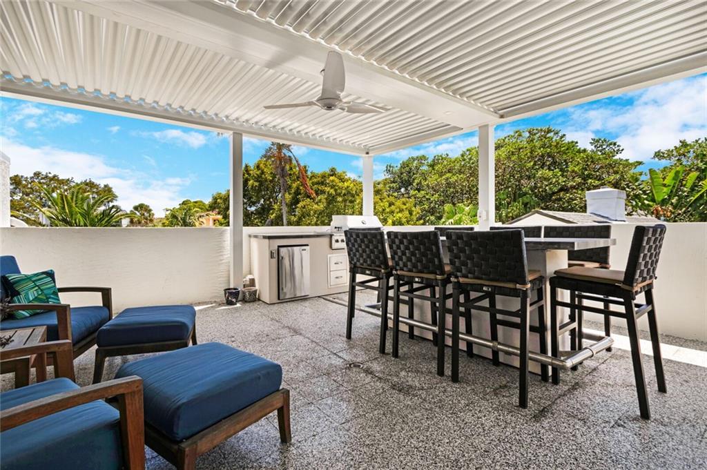 Canary Palm - Residential