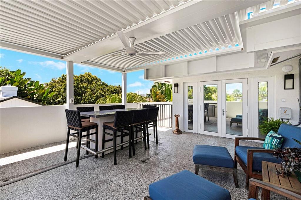 Canary Palm - Residential