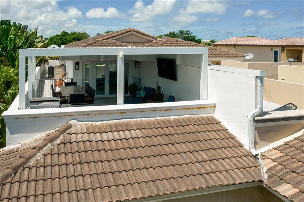 Canary Palm - Residential