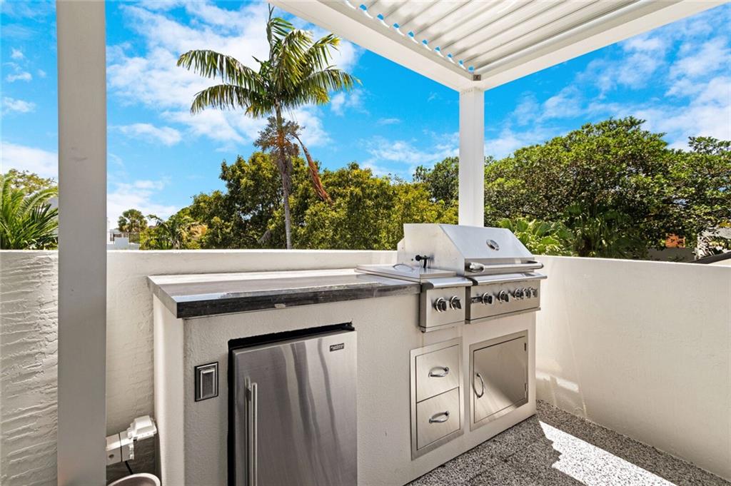 Canary Palm - Residential