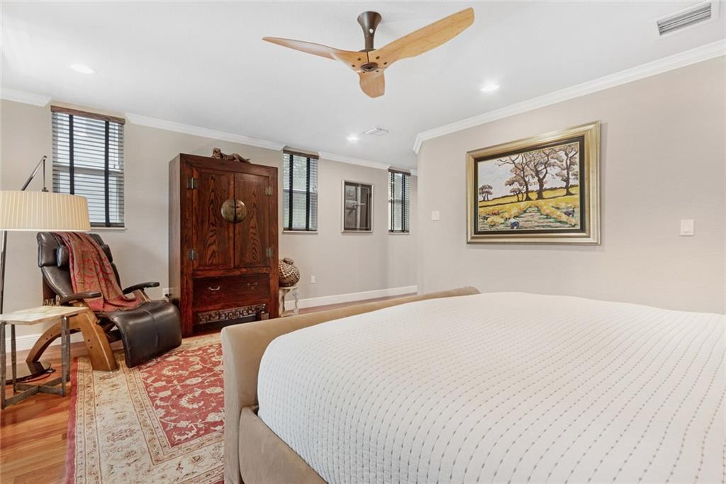 Canary Palm - Residential