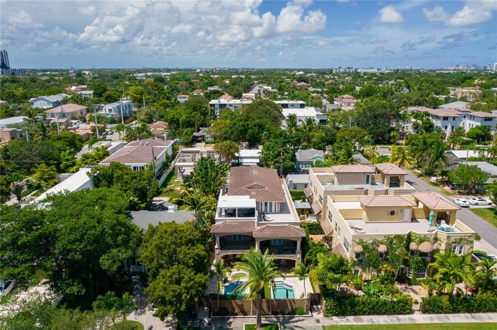 Canary Palm - Residential