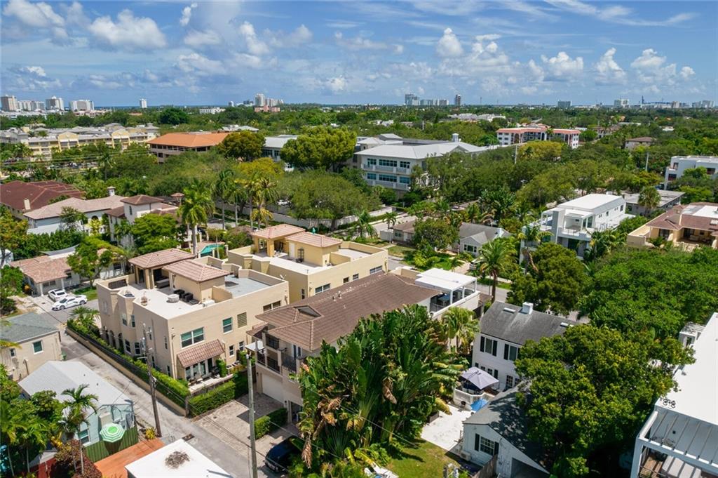 Canary Palm - Residential