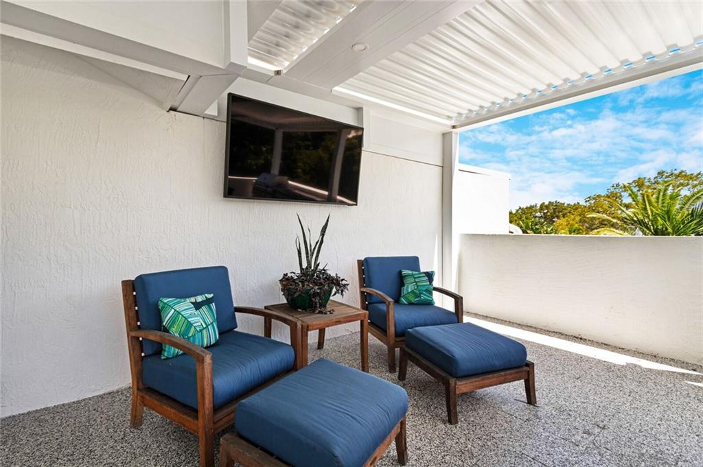 Canary Palm - Residential