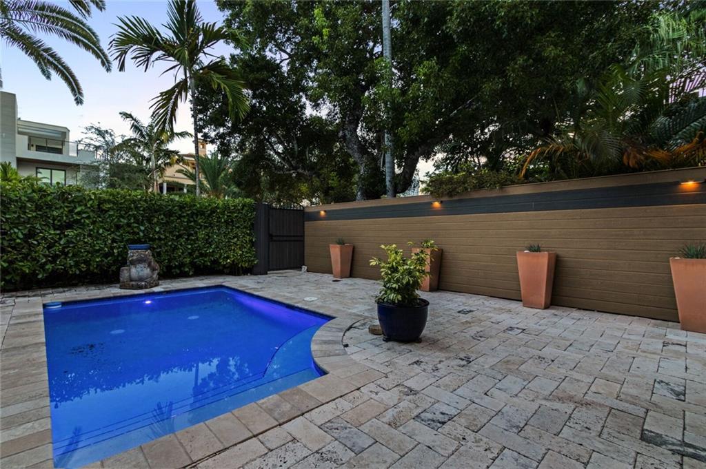 Canary Palm - Residential