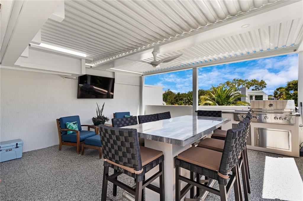 Canary Palm - Residential