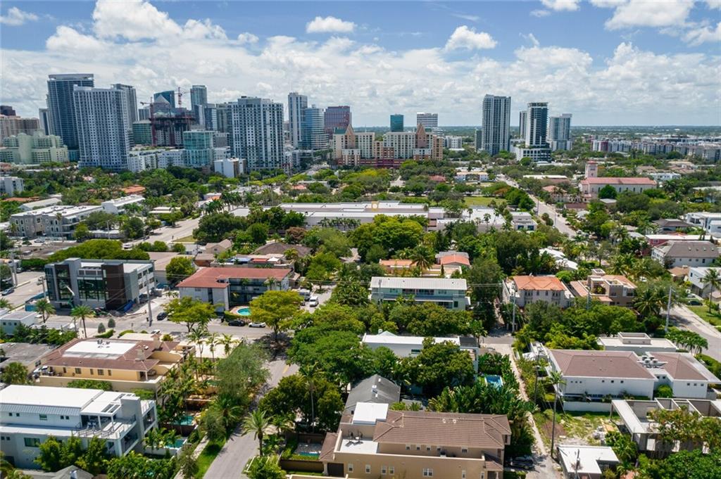 Canary Palm - Residential