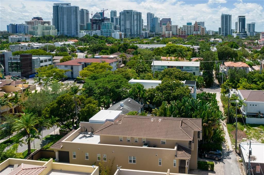 Canary Palm - Residential