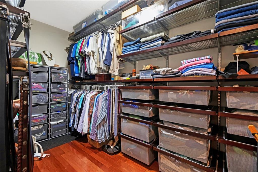 Canary Palm - Residential