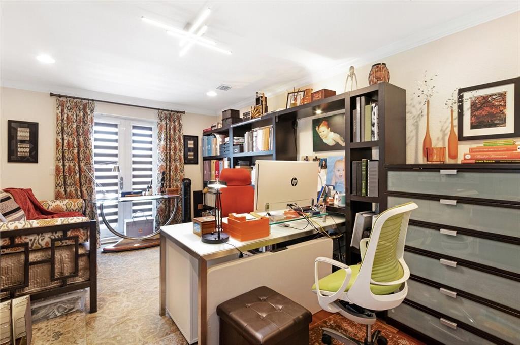 Canary Palm - Residential