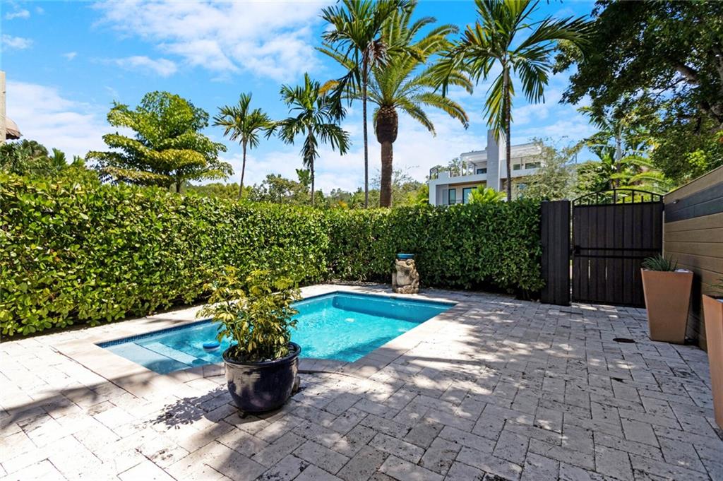 Canary Palm - Residential