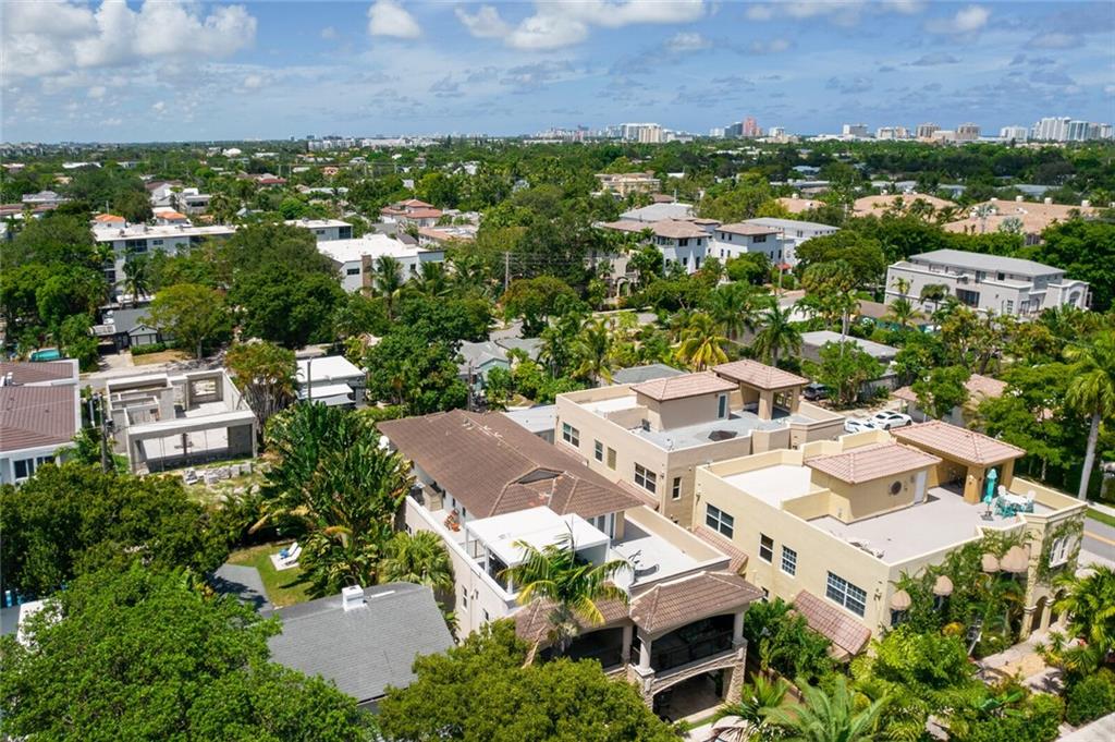 Canary Palm - Residential