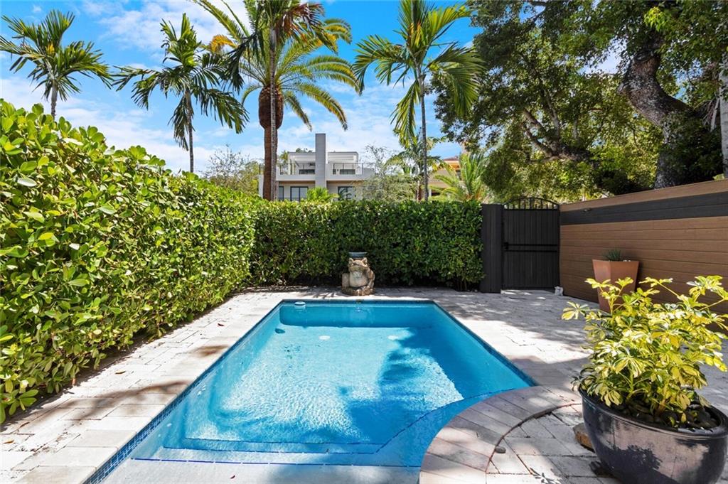 Canary Palm - Residential