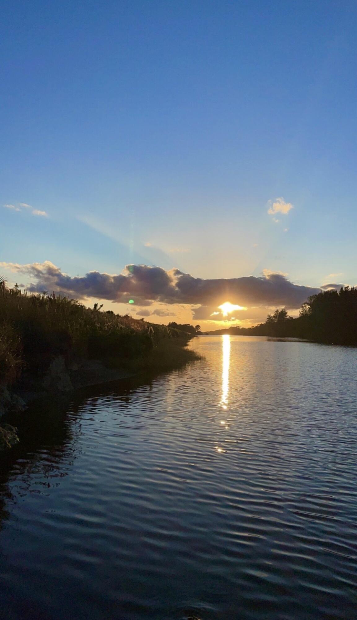 BOX RANCH GROVES - Land
