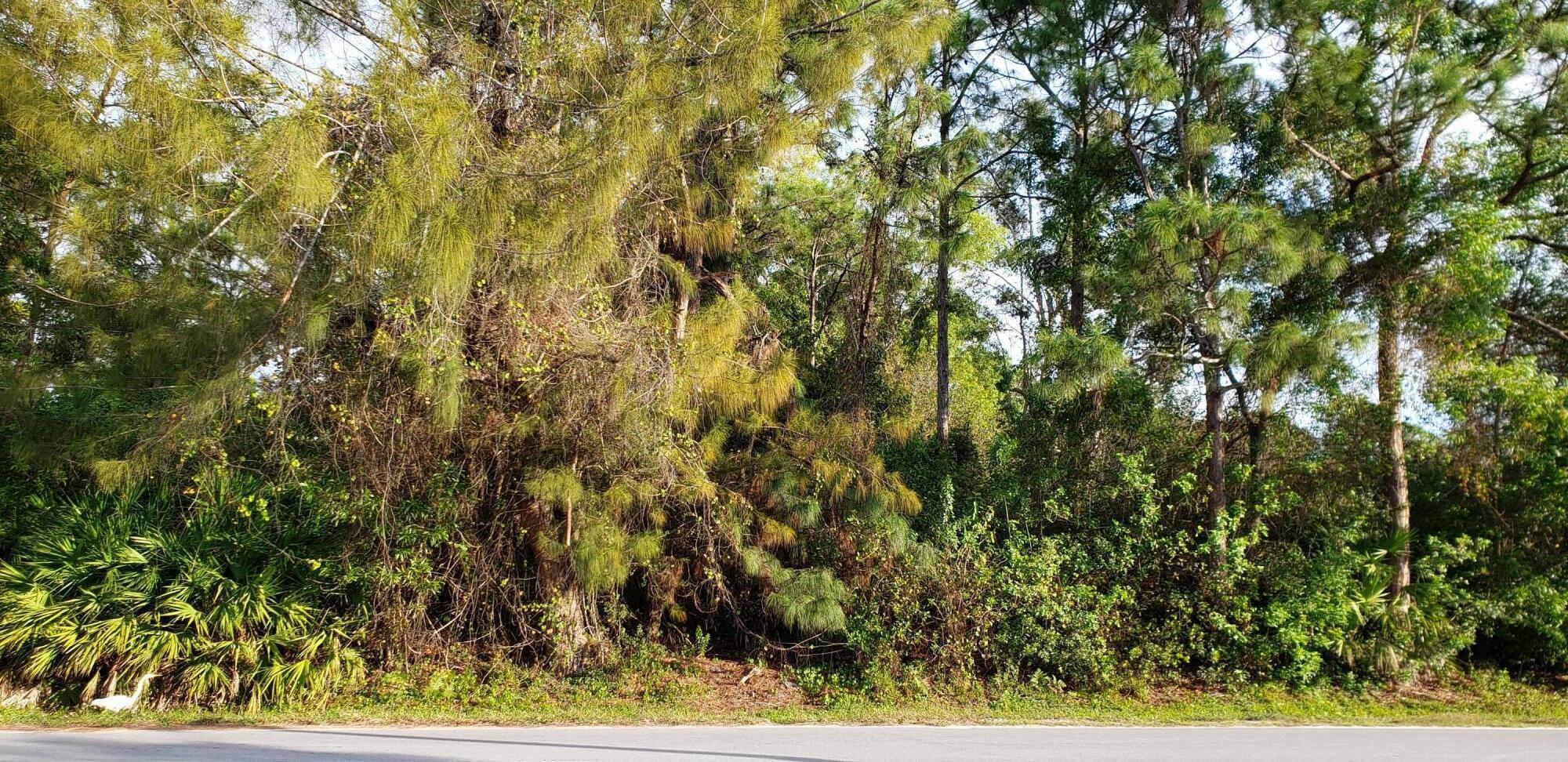 Awesome land on corner of 159 Ct. N. and Jupiter Farms Rd. Ideal for a day care, school, plant nursery or private stable. Uses Subject to approval. Lots of traffic on Jupiter Farms Rd. Great Ingress and Egress on the property. Lots of residential homes in the area. Single Family home permitted by right.