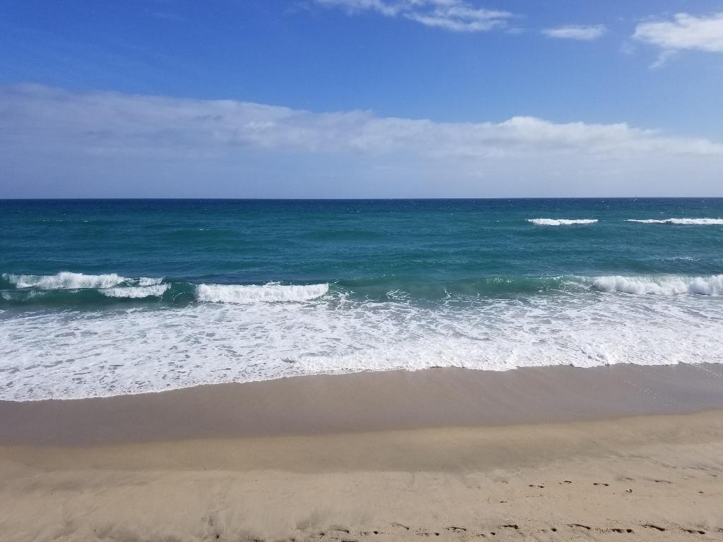 LE CHATEAU ROYAL CONDO - Residential