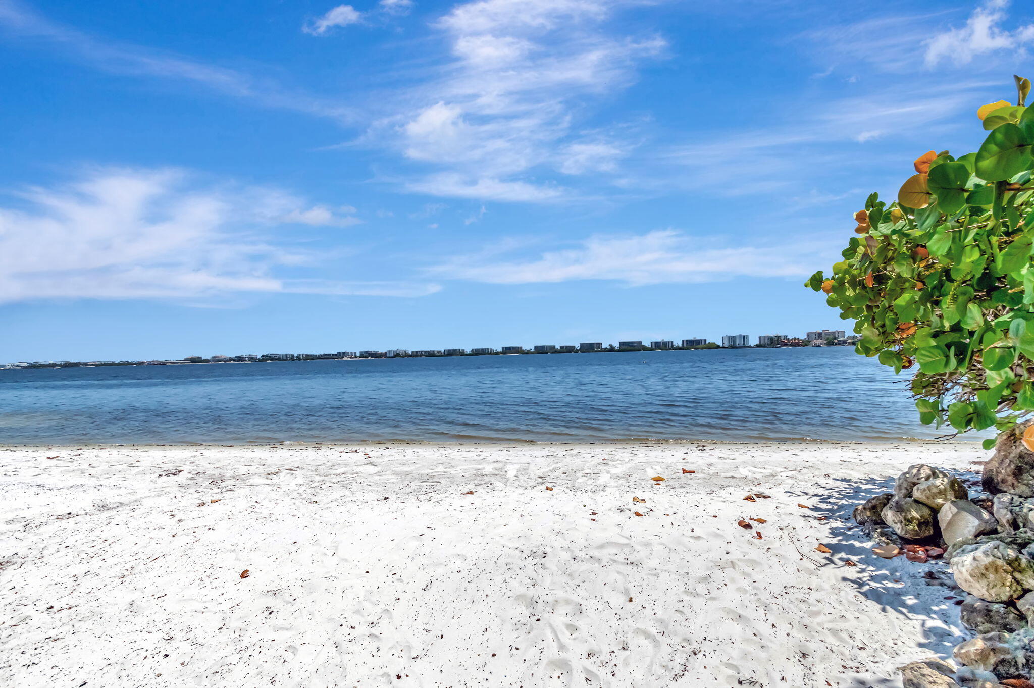 PALM LAKE 1 CONDO - Residential