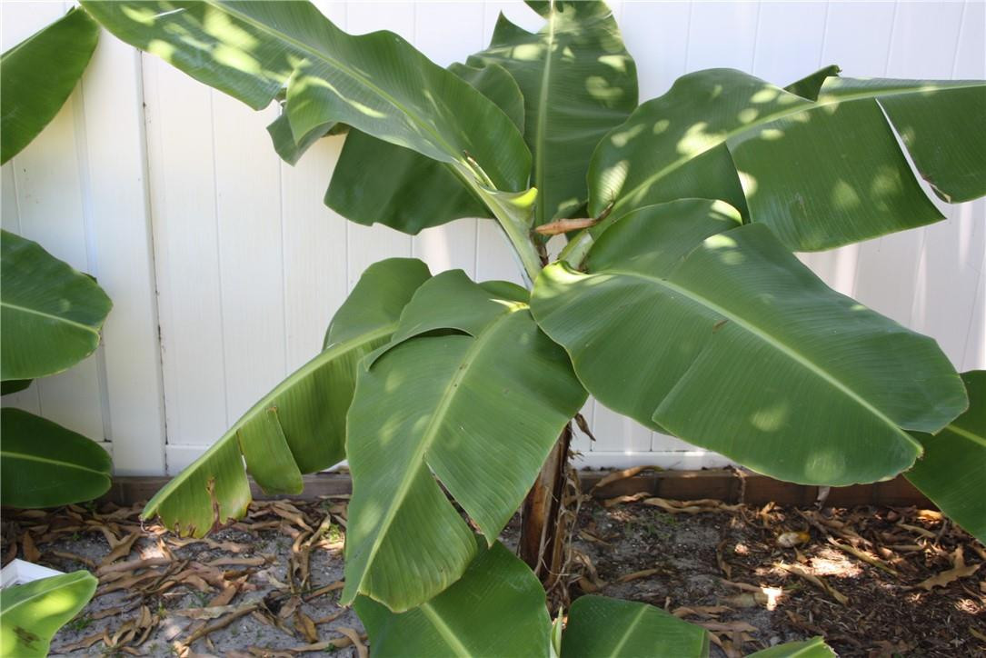 Coral Hills 37-20 B - Residential