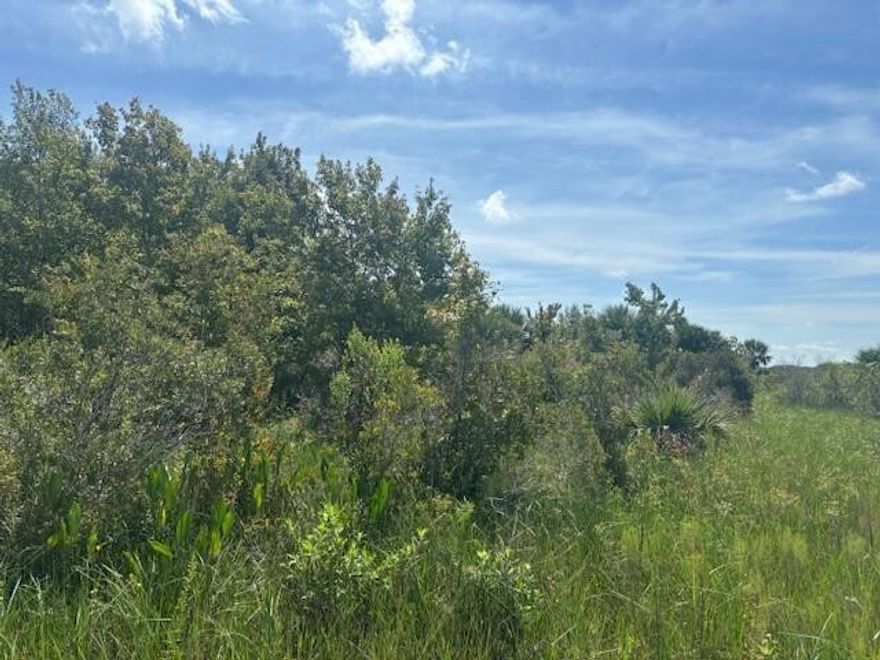 1.25 acre lot in Viking Estates. Close to the Kissimmee Prairie State Park. Bring your 4 -wheelers. This property is not only ideal for recreational uses such has camping, hunting and shooting, but it’s agricultural as well