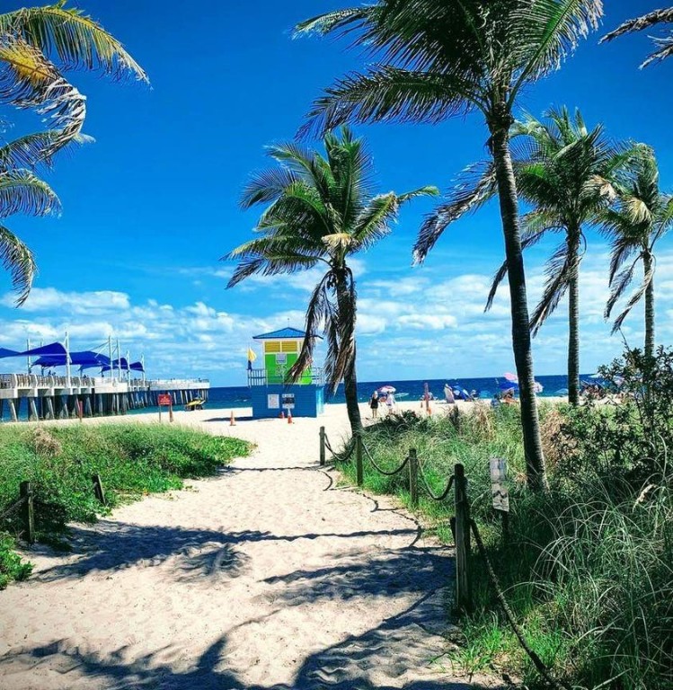 OCEAN MONARCH - Residential