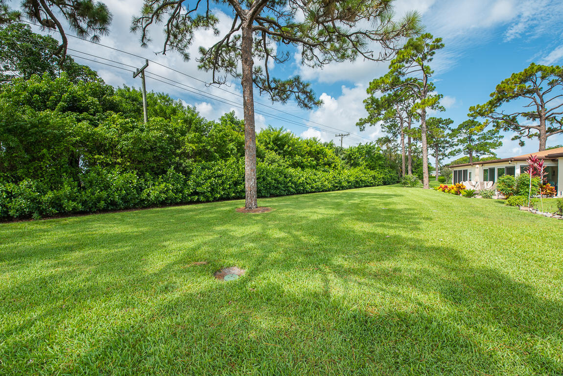 BRIDGEVIEW CONDO - Residential