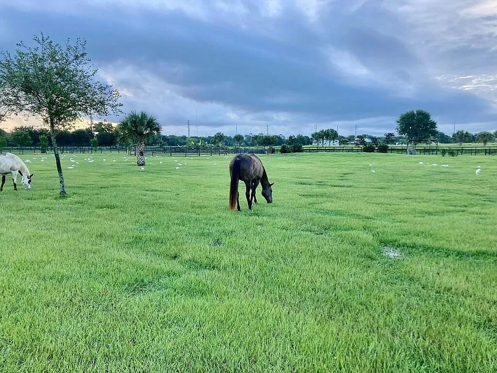TEN SQUARE FARMS (A OF E) - Residential