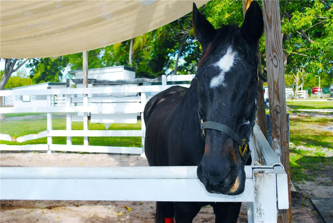 POMPANO BEACH BLOUNT BROS - Residential