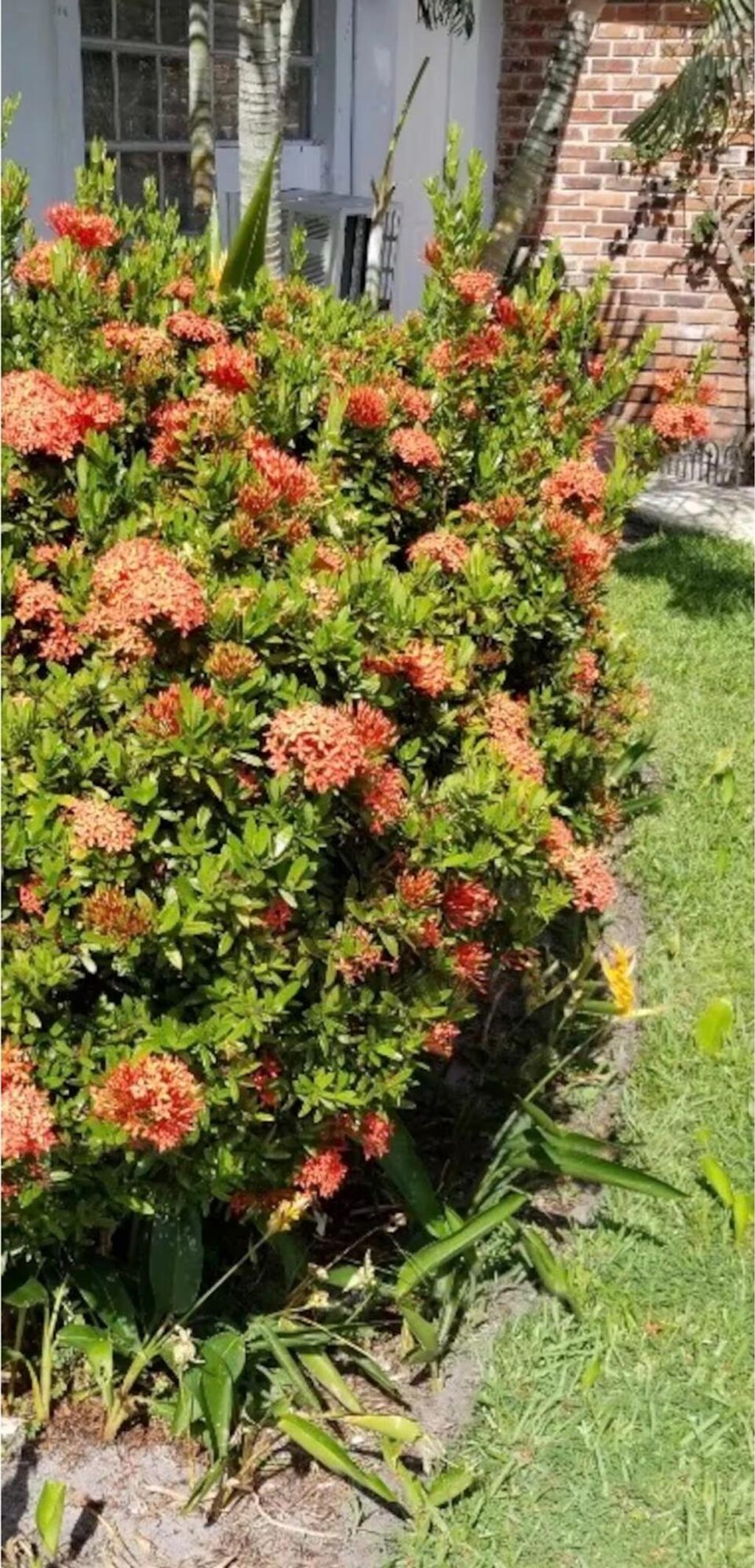 Photo of 27 NW 14th Avenue, Delray Beach, FL 33444 (MLS # B26011890)