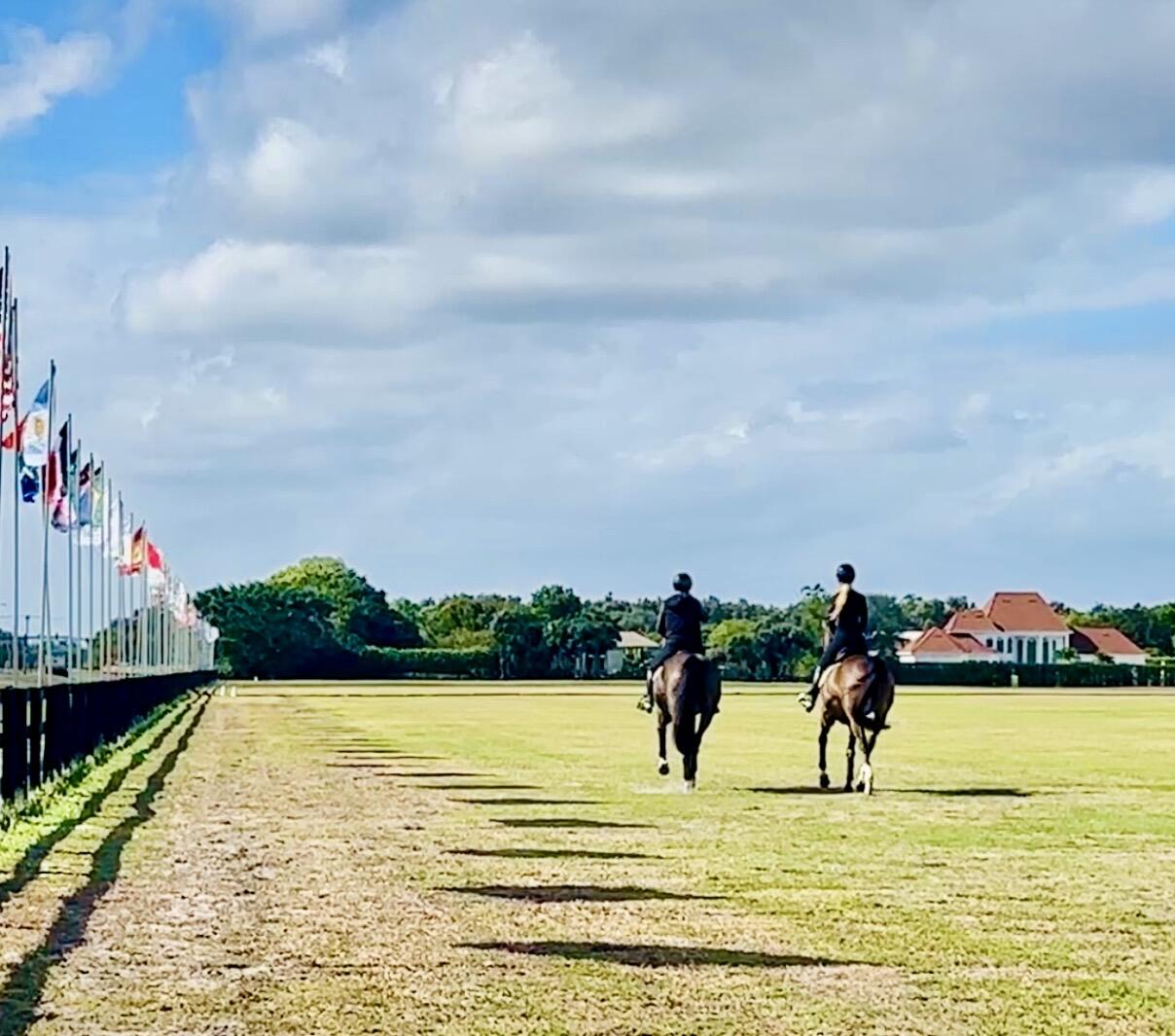 SOUTHFIELDS - Residential