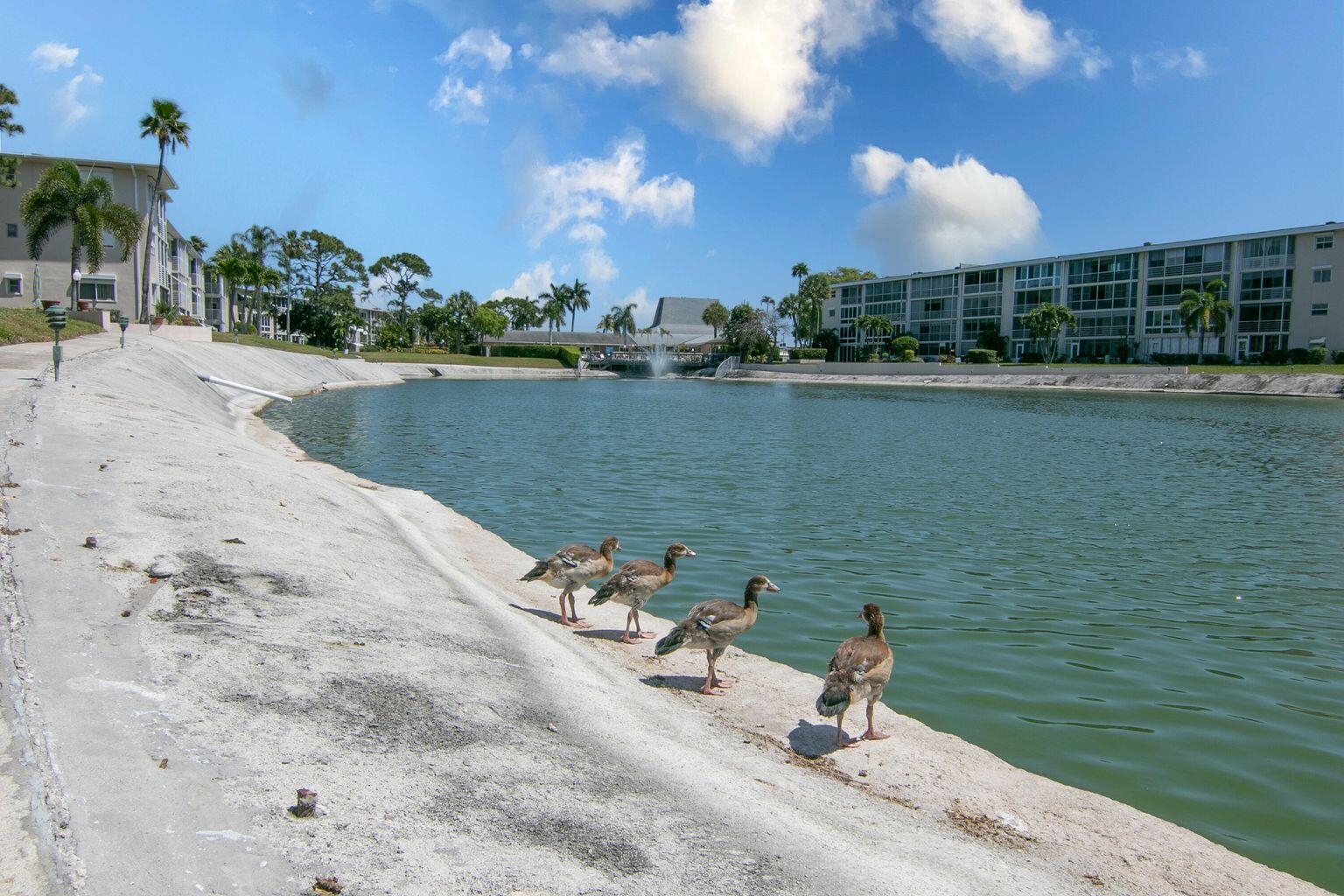 LAKE CLARKE GARDENS - Residential