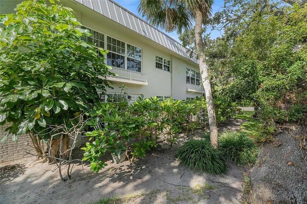 900 Jasmine Lane 102b