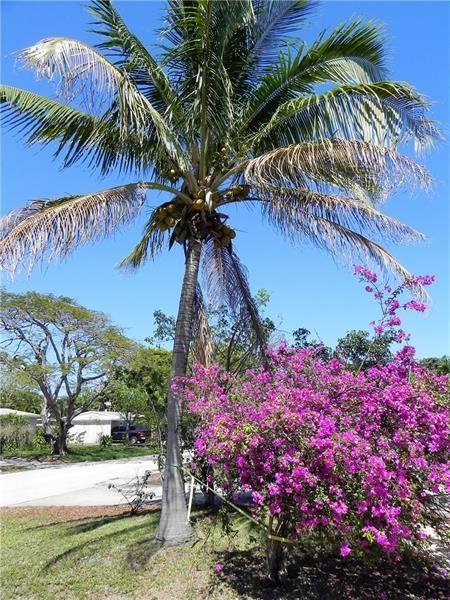 Collier Manor - Residential