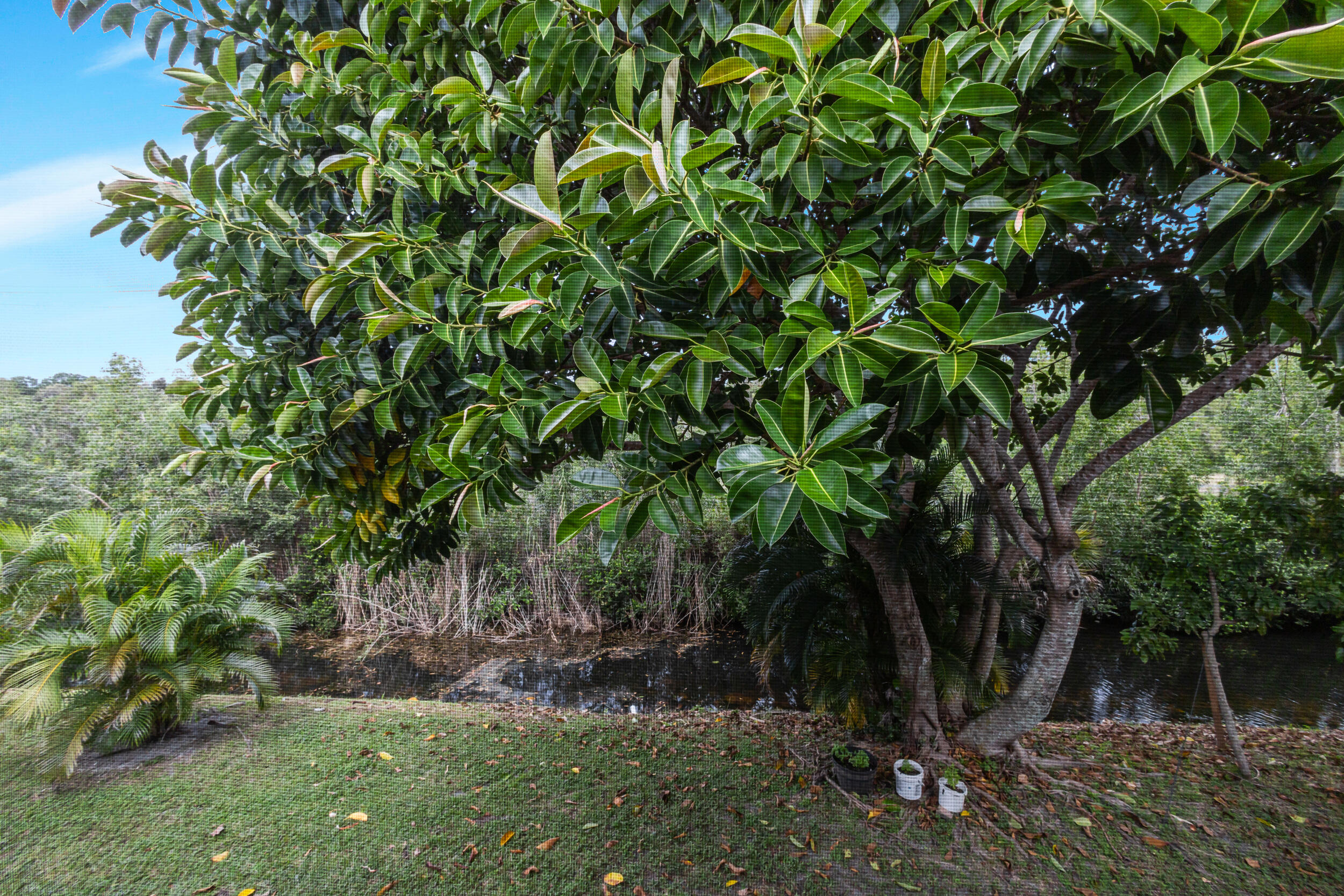 CENTURY VILLAGE -DORCHESTER CONDO - Residential