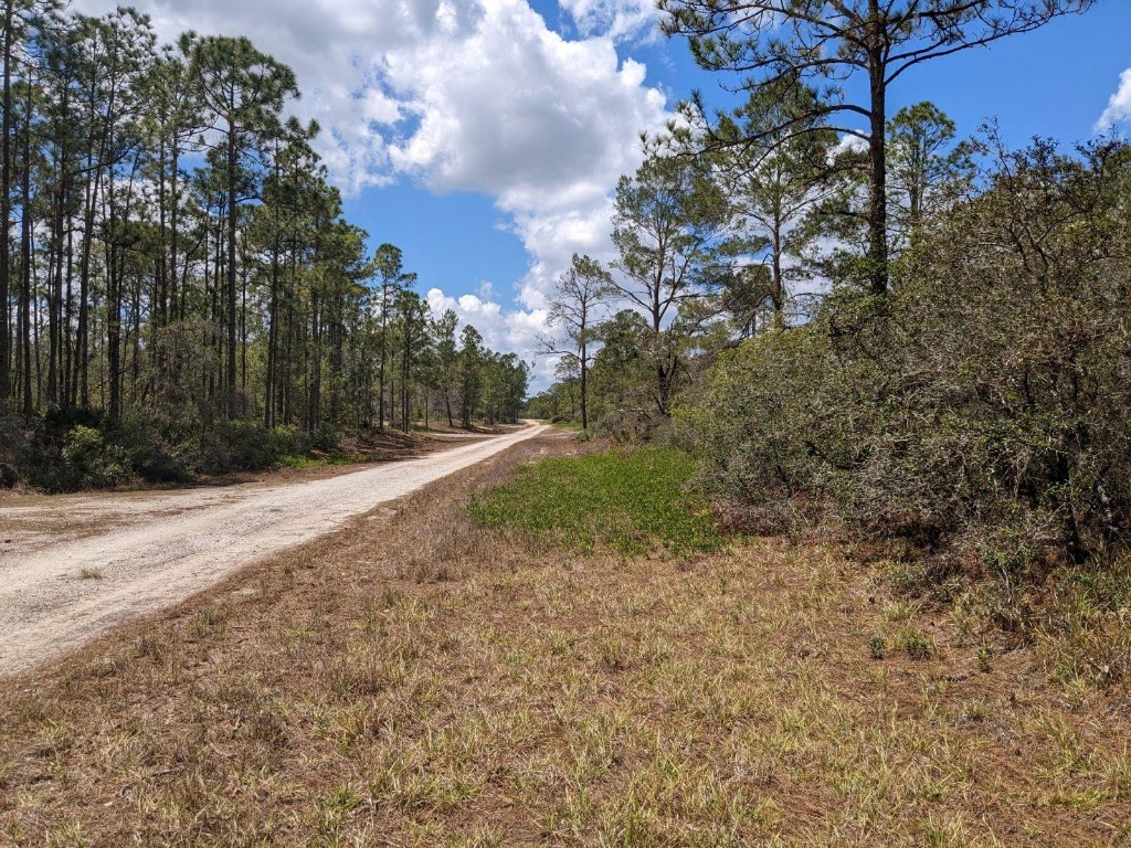 Sun N Lakes Estates sec 18 - Land