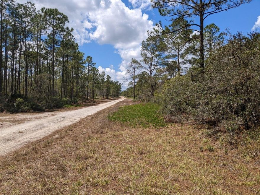 Beautiful wooded lot with mature pine trees! HIGH & DRY LOT! Flood zone X! Close to Lake Grassy in Lake Placid. Launch your boat in Lake Placid at the public boat ramp. This neighborhood is near schools & restaurants. Build your new home in this private area, yet conveniently located. Call today to make an offer!