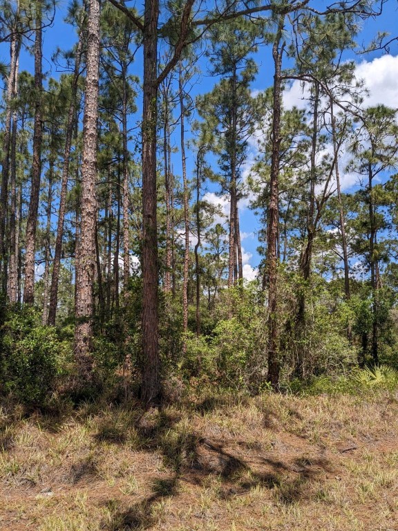 Sun N Lakes Estates sec 18 - Land