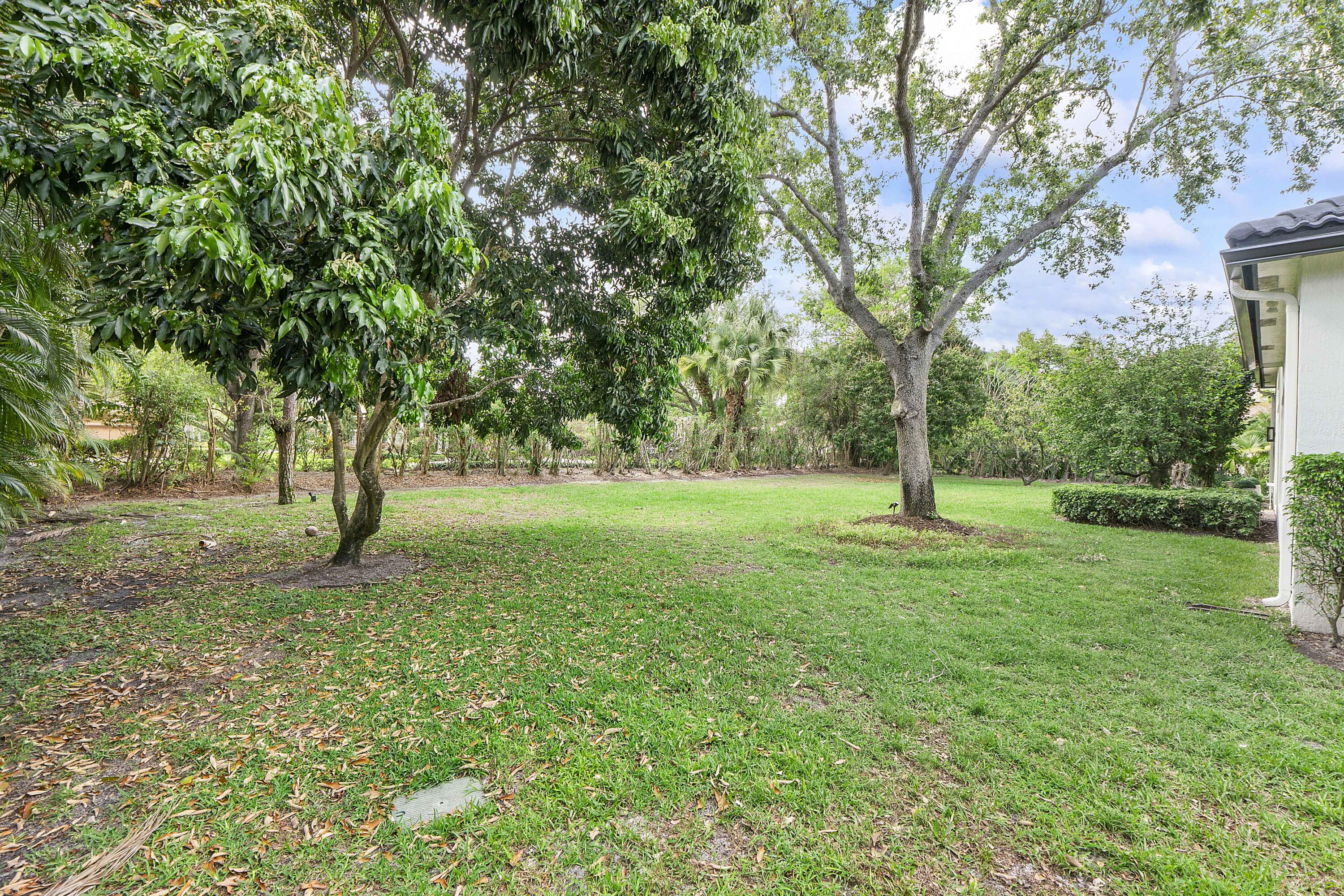 IN THE PINES - Residential