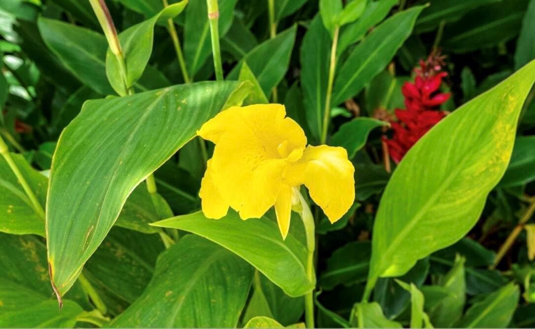 RIVERWALK - Residential