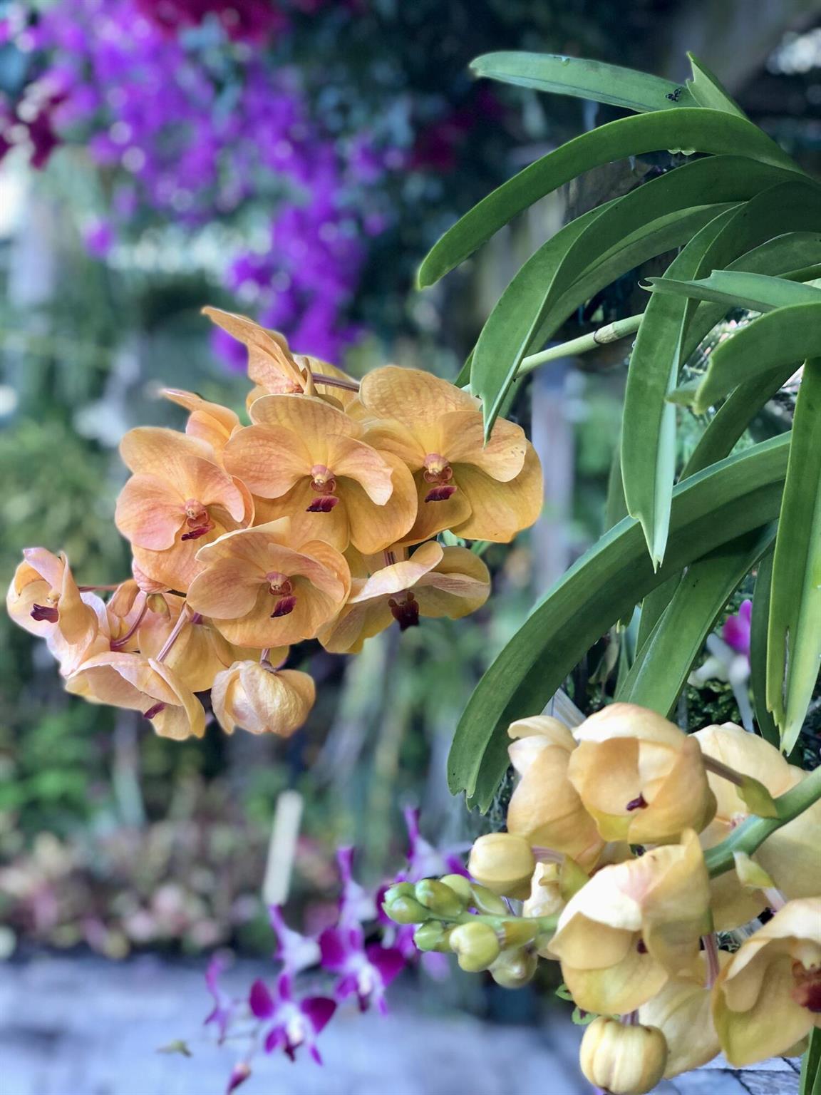 RIVERWALK - Residential