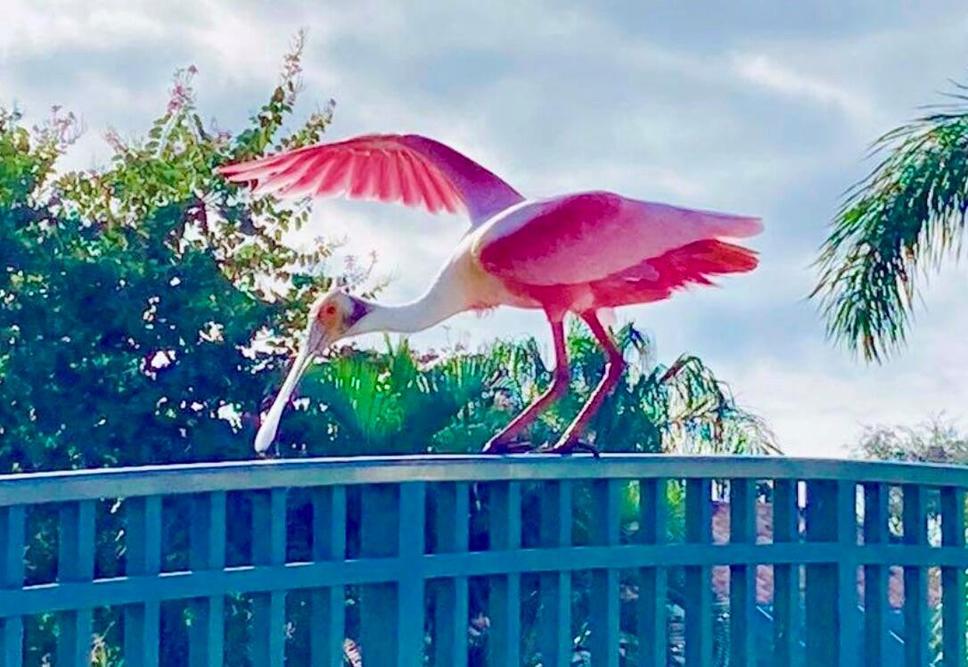 RIVERWALK - Residential