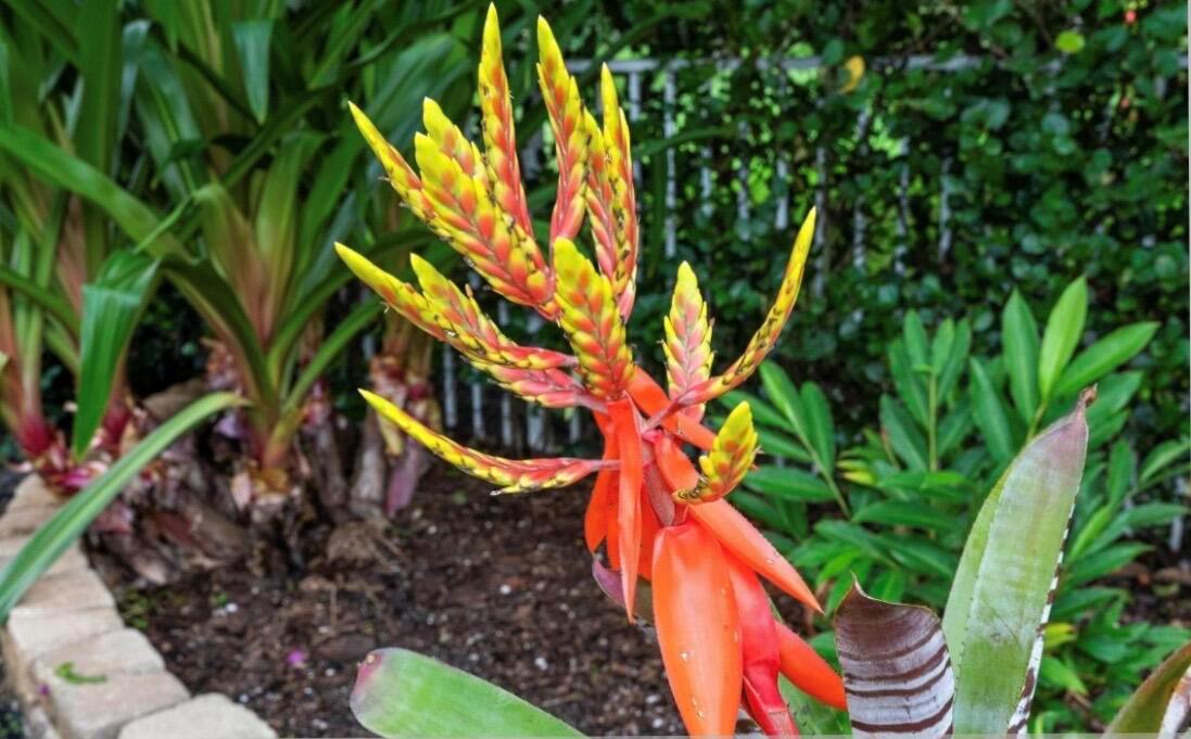 RIVERWALK - Residential